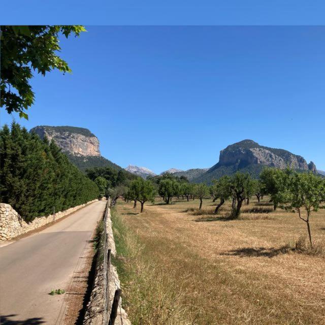 Sa Sort De Can Moix Alaró Εξωτερικό φωτογραφία